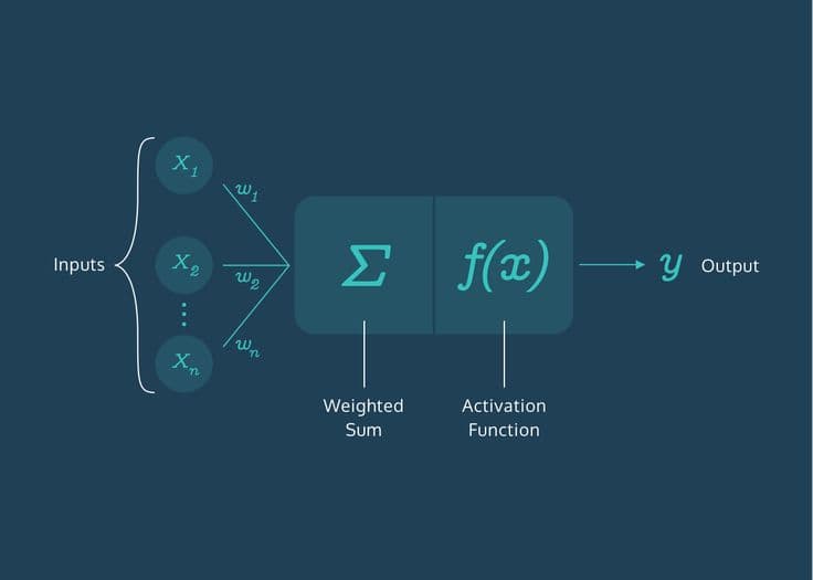 What are Neural Networks